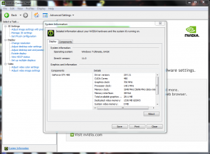 Asus ENGTX480 Nvidia System Info